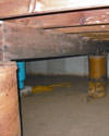 Mold and rot thriving in a dirt floor crawl space in Memphis