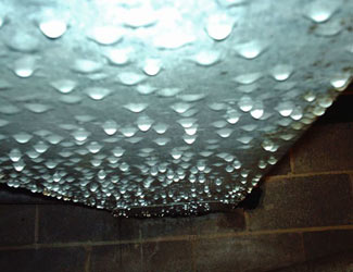 a flooded basement floor in a Dyersburg home