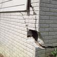 foundation walls cracked due to settlement in Memphis