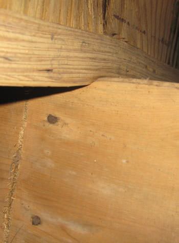 severe damage to a crawl space structure in a Millington home