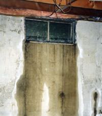 Flooding through basement windows in a Brownsville home.