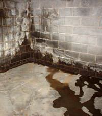 Water seeping through a concrete wall in a Holly Springs basement