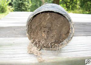 clogged french drain found in Atoka, Tennessee, Mississippi and Arkansas