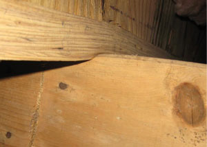 A failing girder showing signs of compression damage in a Tennessee, Mississippi and Arkansas home